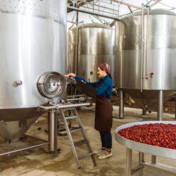 Anaerobic coffee fermenation