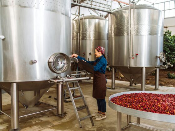 Anaerobic coffee fermenation